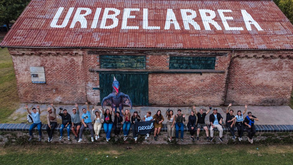 Our professional team and office environment